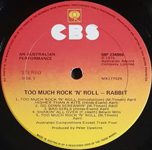 Load image into Gallery viewer, Rabbit- Too Much Rock &#39;n&#39; Roll
