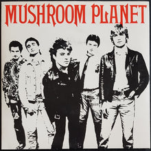 Load image into Gallery viewer, Mushroom Planet - Take Me Away