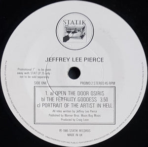 Jeffrey Lee Pierce - Wildweed