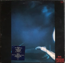 Load image into Gallery viewer, Siouxsie &amp; The Banshees - The Scream