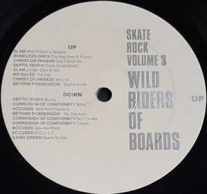 V/A - Skate Rock Volume 3 - Wild Riders Of Boards