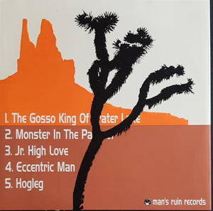 Desert Sessions - Vol IV / Hard Walls And Little Trips