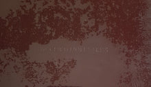 Load image into Gallery viewer, Child Molesters - The Legendary Brown Album