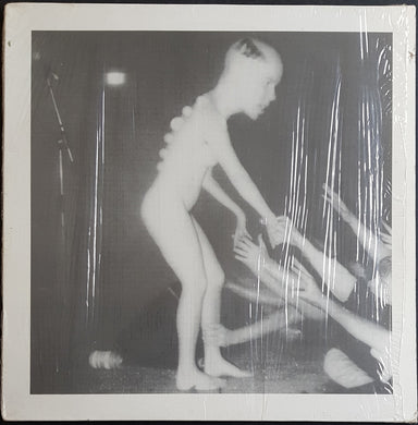 Butthole Surfers - Double Live