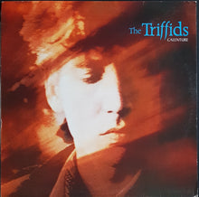 Load image into Gallery viewer, Triffids - Calenture
