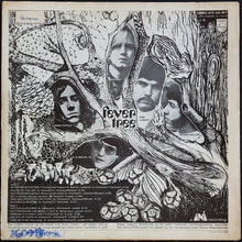 Load image into Gallery viewer, Fever Tree - Fever Tree