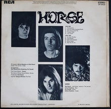 Load image into Gallery viewer, Horse - Horse