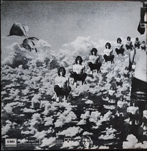 Load image into Gallery viewer, Syd Barrett (Pink Floyd)- The Madcap Laughs