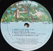 Load image into Gallery viewer, Flamin&#39; Groovies - Teenage Head