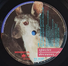 Load image into Gallery viewer, Midnight Oil - Species Deceases