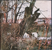 Load image into Gallery viewer, Black Sabbath - Black Sabbath