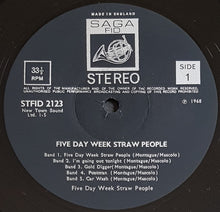 Load image into Gallery viewer, Five Day Week Straw People - The Five Day Week Straw People
