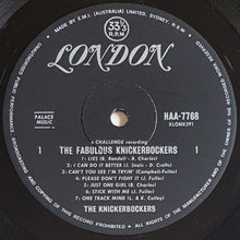 Load image into Gallery viewer, Knickerbockers - Lies - Mono