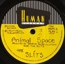 Load image into Gallery viewer, Slits - Animal Space