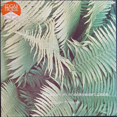 Edgar Froese - Epsilon In Malaysian Pale