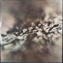 Load image into Gallery viewer, Tangerine Dream - Rubycon