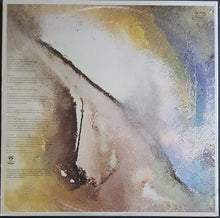 Load image into Gallery viewer, Tangerine Dream - Cyclone