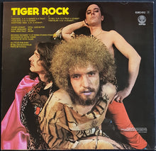 Load image into Gallery viewer, Tiger B. Smith - Tiger Rock
