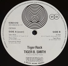 Load image into Gallery viewer, Tiger B. Smith - Tiger Rock