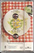 Load image into Gallery viewer, Hoodoo Gurus - Electric Soup - The Singles Collection