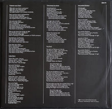 Load image into Gallery viewer, Electric Sun - Fire Wind