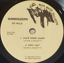 Load image into Gallery viewer, Shindiggers - Go Wild!