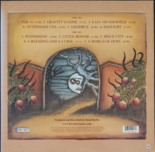 Load image into Gallery viewer, Drive-By Truckers - A Blessing And A Curse