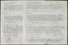 Load image into Gallery viewer, Hugo Race + True Spirit- 53rd State