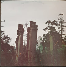 Load image into Gallery viewer, Buffalo - Dead Forever...