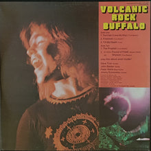 Load image into Gallery viewer, Buffalo - Volcanic Rock