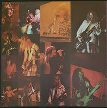 Load image into Gallery viewer, Buffalo - Volcanic Rock