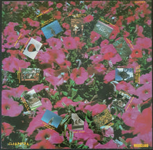 Load image into Gallery viewer, Captain Cocoa - Kite