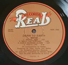 Load image into Gallery viewer, Nektar - Down To Earth