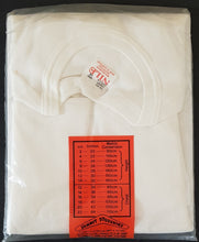 Load image into Gallery viewer, Windchase - Symphinity + Promo T-shirt + Bio