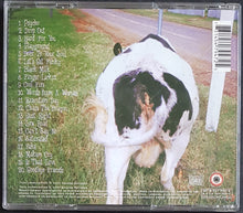 Load image into Gallery viewer, Beasts Of Bourbon - Beyond Good &amp; Evil (The Best Of The Beasts Of Bourbon)