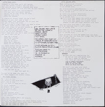 Load image into Gallery viewer, Arm The Insane - Remember