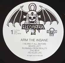 Load image into Gallery viewer, Arm The Insane - Remember