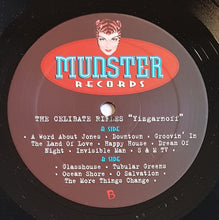 Load image into Gallery viewer, Celibate Rifles - Yizgarnoff Live