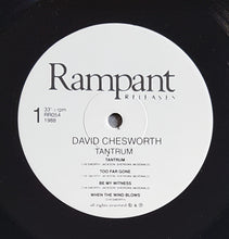 Load image into Gallery viewer, David Chesworth - Tantrum