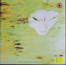 Load image into Gallery viewer, Steve Kilbey- Earthed