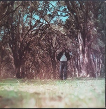 Load image into Gallery viewer, Francis, John J. - Breaks, Works &amp; Thoughts