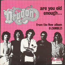 Load image into Gallery viewer, Dragon - Are You Old Enough