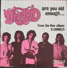 Load image into Gallery viewer, Dragon - Are You Old Enough