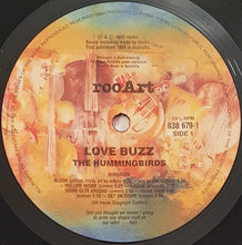 Load image into Gallery viewer, Hummingbirds - loveBUZZ