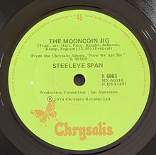 Load image into Gallery viewer, Steeleye Span - Fighting For Strangers
