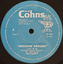 Load image into Gallery viewer, Wild Honey - Groovin' Around