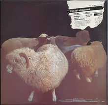Load image into Gallery viewer, Reels - Pitt Street Farmers