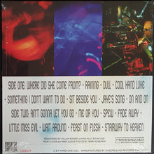 Load image into Gallery viewer, Hard Ons - Yummy! - 'Recycle Mix Coloured Vinyl'