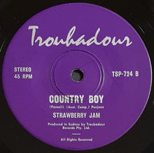 Load image into Gallery viewer, Strawberry Jam - How Can You Lose