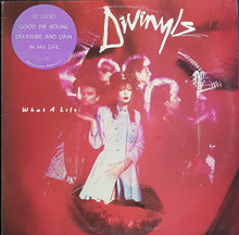 Load image into Gallery viewer, Divinyls - What A Life!